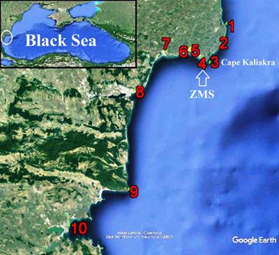 New Possible Earthquake Precursor and Initial Area for Satellite Monitoring